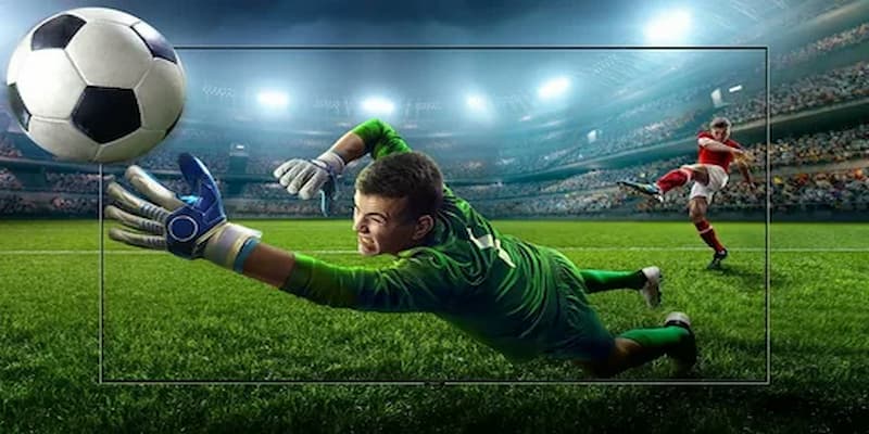 Hướng dẫn soi kèo theo btv kèo nhà cái